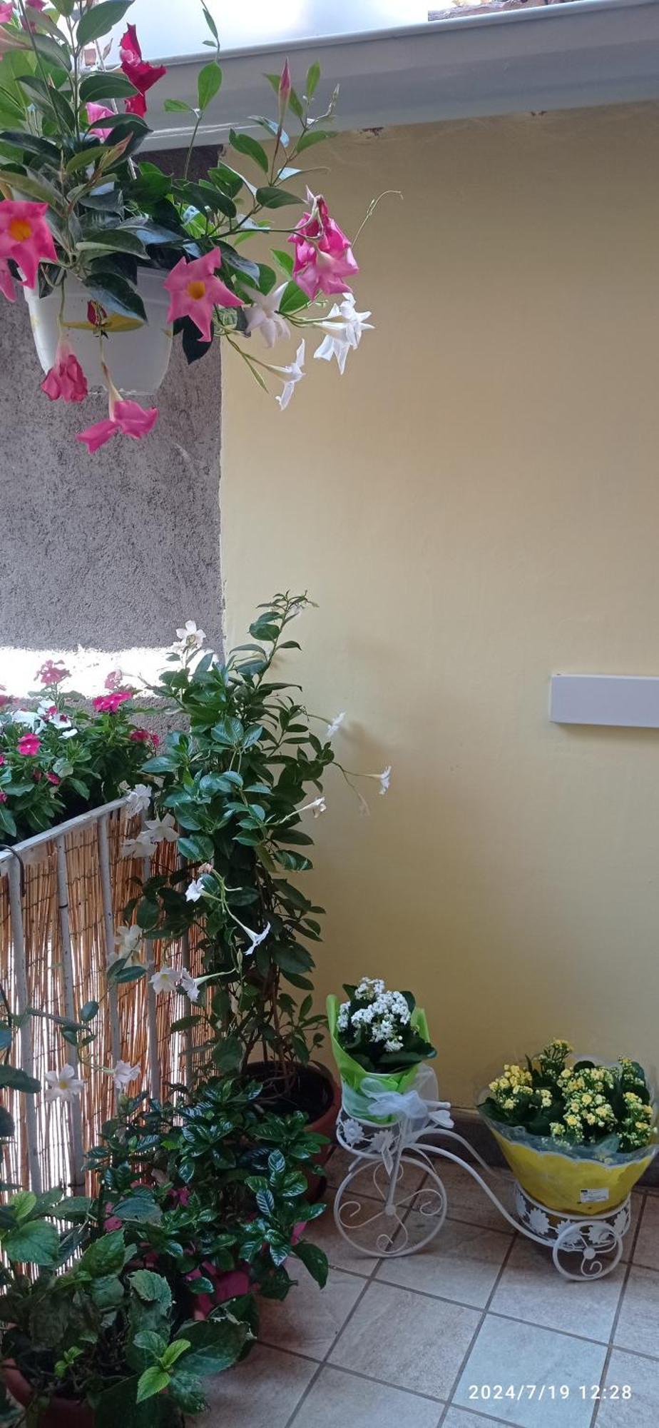 Apartamento Residenza Del Sepale Viterbo Exterior foto
